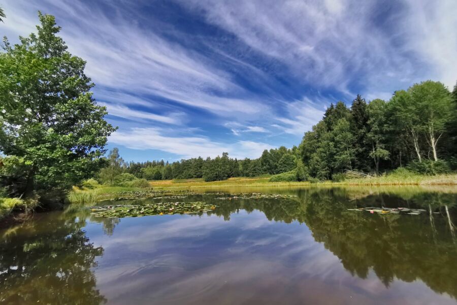 Angelteich auf dem Campingplatz Paulfeld