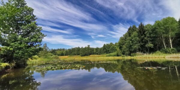 Angelteich auf dem Campingplatz Paulfeld