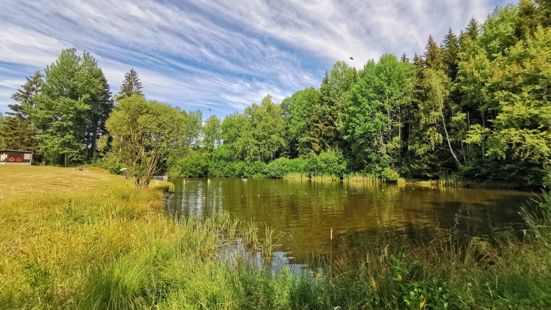 Badeteich auf dem Campingplatz Paulfeld