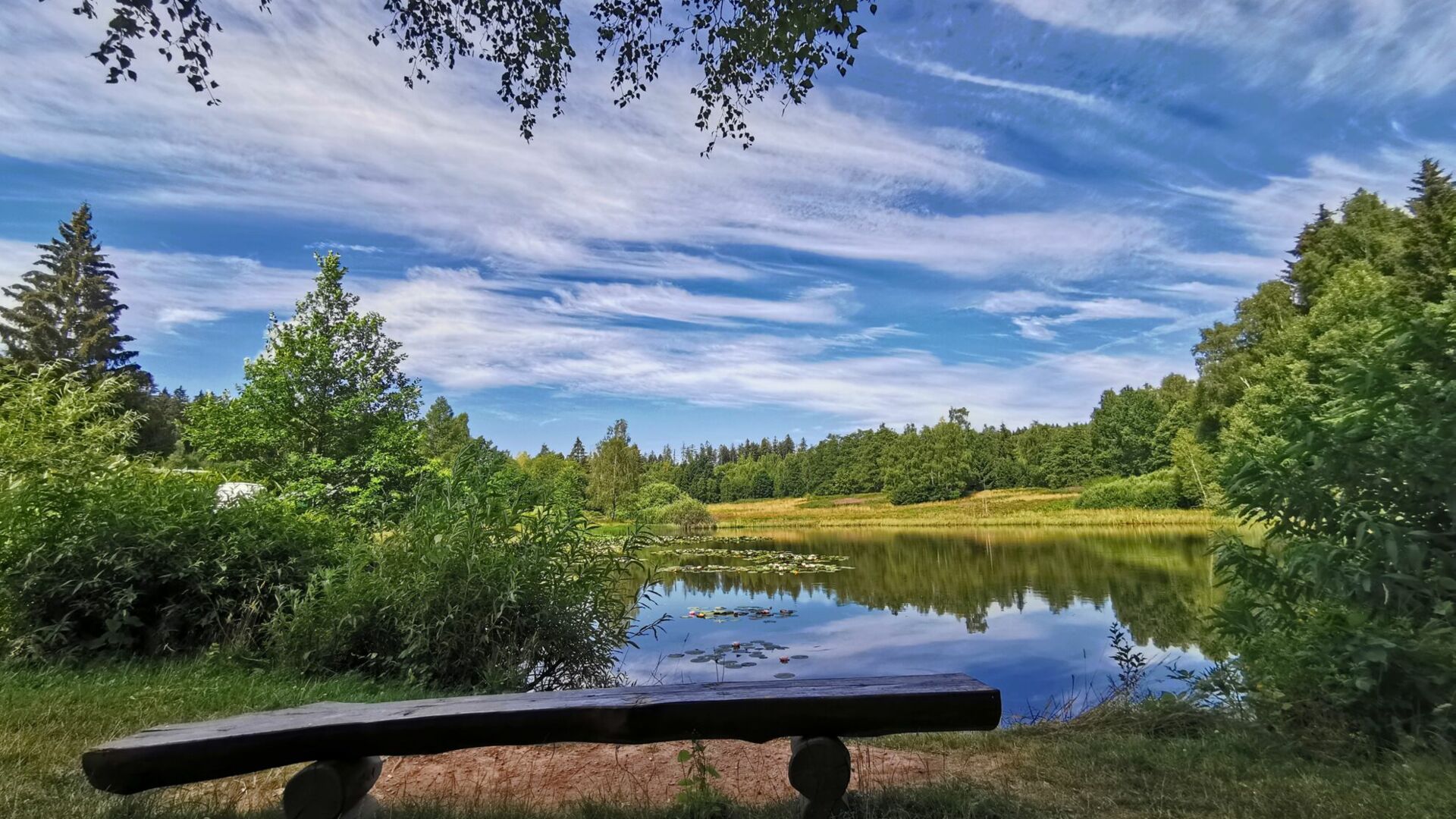 Angelteich auf dem Campingplatz Paulfeld